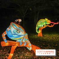 Odyssée Lumineuse, le festival des lumières au Parc Floral