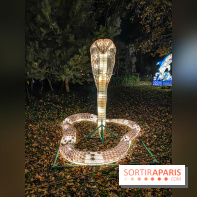 Odyssée Lumineuse, le festival des lumières au Parc Floral - IMG 2409