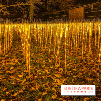 Odyssée Lumineuse, le festival des lumières au Parc Floral
