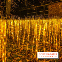 Odyssée Lumineuse, le festival des lumières au Parc Floral