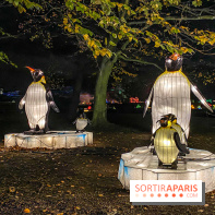 Odyssée Lumineuse, le festival des lumières au Parc Floral - IMG 2417