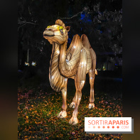 Odyssée Lumineuse, le festival des lumières au Parc Floral