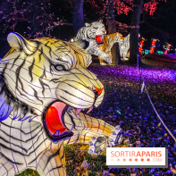 Odyssée Lumineuse, le festival des lumières au Parc Floral