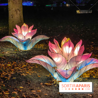 Odyssée Lumineuse, le festival des lumières au Parc Floral - IMG 2427