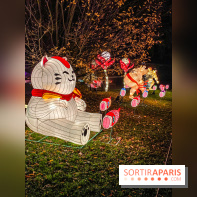 Odyssée Lumineuse, le festival des lumières au Parc Floral - IMG 2435