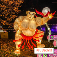 Odyssée Lumineuse, le festival des lumières au Parc Floral - IMG 2438