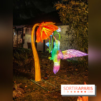 Odyssée Lumineuse, le festival des lumières au Parc Floral