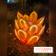 Odyssée Lumineuse, le festival des lumières au Parc Floral - IMG 2441