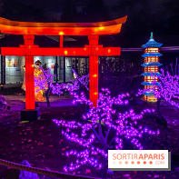 Odyssée Lumineuse, le festival des lumières au Parc Floral - IMG 2442