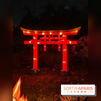 Odyssée Lumineuse, le festival des lumières au Parc Floral - IMG 2444