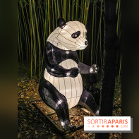 Odyssée Lumineuse, le festival des lumières au Parc Floral - IMG 2448