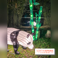 Odyssée Lumineuse, le festival des lumières au Parc Floral - IMG 2450