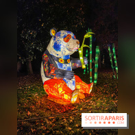 Odyssée Lumineuse, le festival des lumières au Parc Floral - IMG 2451