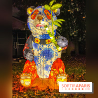 Odyssée Lumineuse, le festival des lumières au Parc Floral - IMG 2452