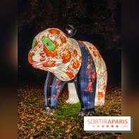 Odyssée Lumineuse, le festival des lumières au Parc Floral - IMG 2454
