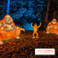 Odyssée Lumineuse, le festival des lumières au Parc Floral - IMG 2457