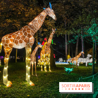 Odyssée Lumineuse, le festival des lumières au Parc Floral