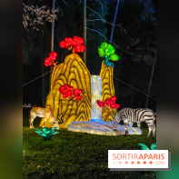 Odyssée Lumineuse, le festival des lumières au Parc Floral - IMG 2462