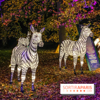 Odyssée Lumineuse, le festival des lumières au Parc Floral