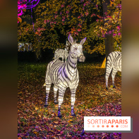 Odyssée Lumineuse, le festival des lumières au Parc Floral
