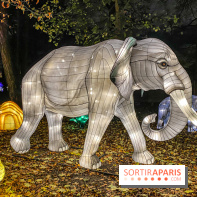 Odyssée Lumineuse, le festival des lumières au Parc Floral - IMG 2468