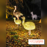 Odyssée Lumineuse, le festival des lumières au Parc Floral - IMG 2469