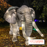 Odyssée Lumineuse, le festival des lumières au Parc Floral - IMG 2471