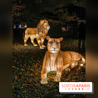 Odyssée Lumineuse, le festival des lumières au Parc Floral - IMG 2472