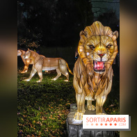 Odyssée Lumineuse, le festival des lumières au Parc Floral - IMG 2473