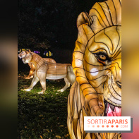 Odyssée Lumineuse, le festival des lumières au Parc Floral - IMG 2474