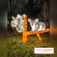 Odyssée Lumineuse, le festival des lumières au Parc Floral - IMG 2477