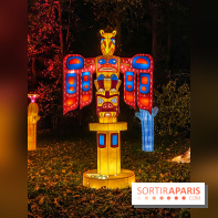 Odyssée Lumineuse, le festival des lumières au Parc Floral - IMG 2480