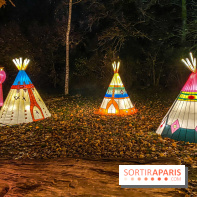 Odyssée Lumineuse, le festival des lumières au Parc Floral - IMG 2483