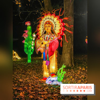 Odyssée Lumineuse, le festival des lumières au Parc Floral - IMG 2486