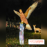 Odyssée Lumineuse, le festival des lumières au Parc Floral