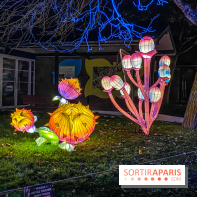 Odyssée Lumineuse, le festival des lumières au Parc Floral - IMG 2491