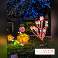 Odyssée Lumineuse, le festival des lumières au Parc Floral - IMG 2492