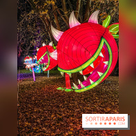 Odyssée Lumineuse, le festival des lumières au Parc Floral - IMG 2494
