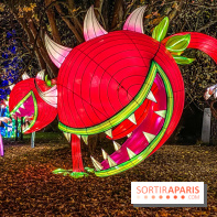 Odyssée Lumineuse, le festival des lumières au Parc Floral - IMG 2495