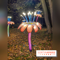 Odyssée Lumineuse, le festival des lumières au Parc Floral - IMG 2496