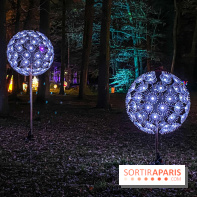 Odyssée Lumineuse, le festival des lumières au Parc Floral - IMG 2498
