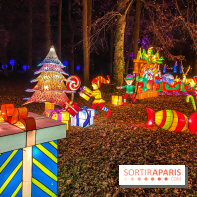 Odyssée Lumineuse, le festival des lumières au Parc Floral