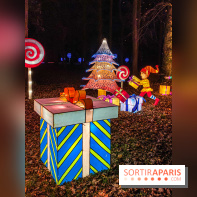 Odyssée Lumineuse, le festival des lumières au Parc Floral - IMG 2509