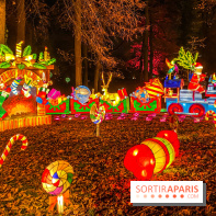 Odyssée Lumineuse, le festival des lumières au Parc Floral - IMG 2511