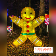 Odyssée Lumineuse, le festival des lumières au Parc Floral