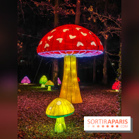 Odyssée Lumineuse, le festival des lumières au Parc Floral - IMG 2519