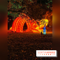 Odyssée Lumineuse, le festival des lumières au Parc Floral - IMG 2522