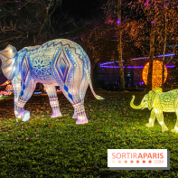 Odyssée Lumineuse, le festival des lumières au Parc Floral - IMG 2533