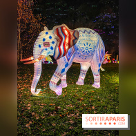 Odyssée Lumineuse, le festival des lumières au Parc Floral - IMG 2535