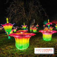 Odyssée Lumineuse, le festival des lumières au Parc Floral